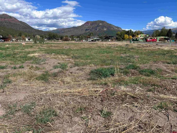 a view of an outdoor space with yard
