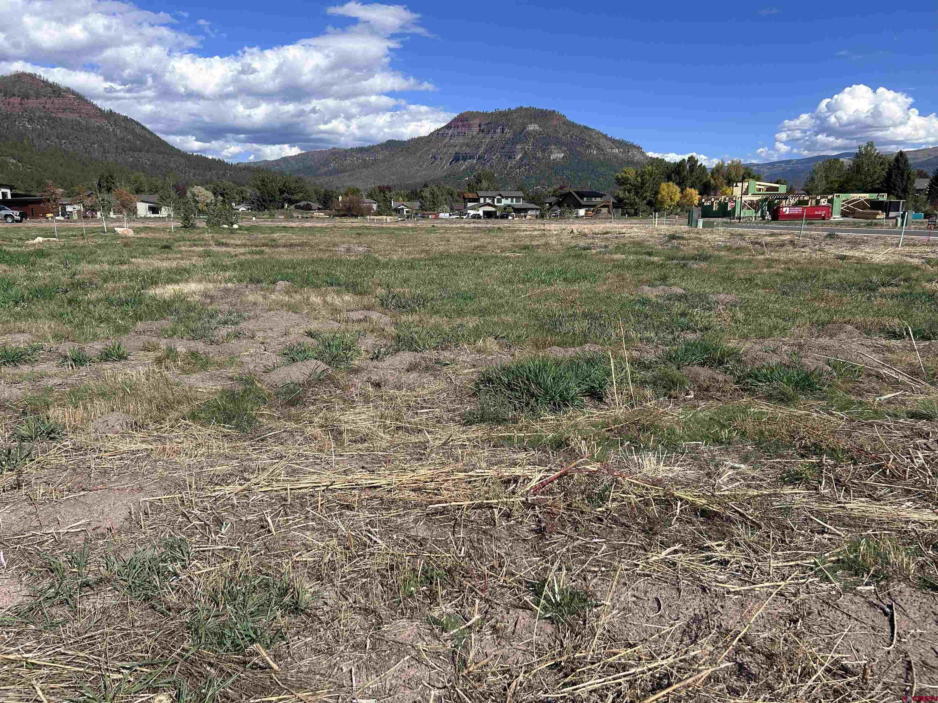 46 Elkview Court Durango, CO 81301 - Photo 5 of 29