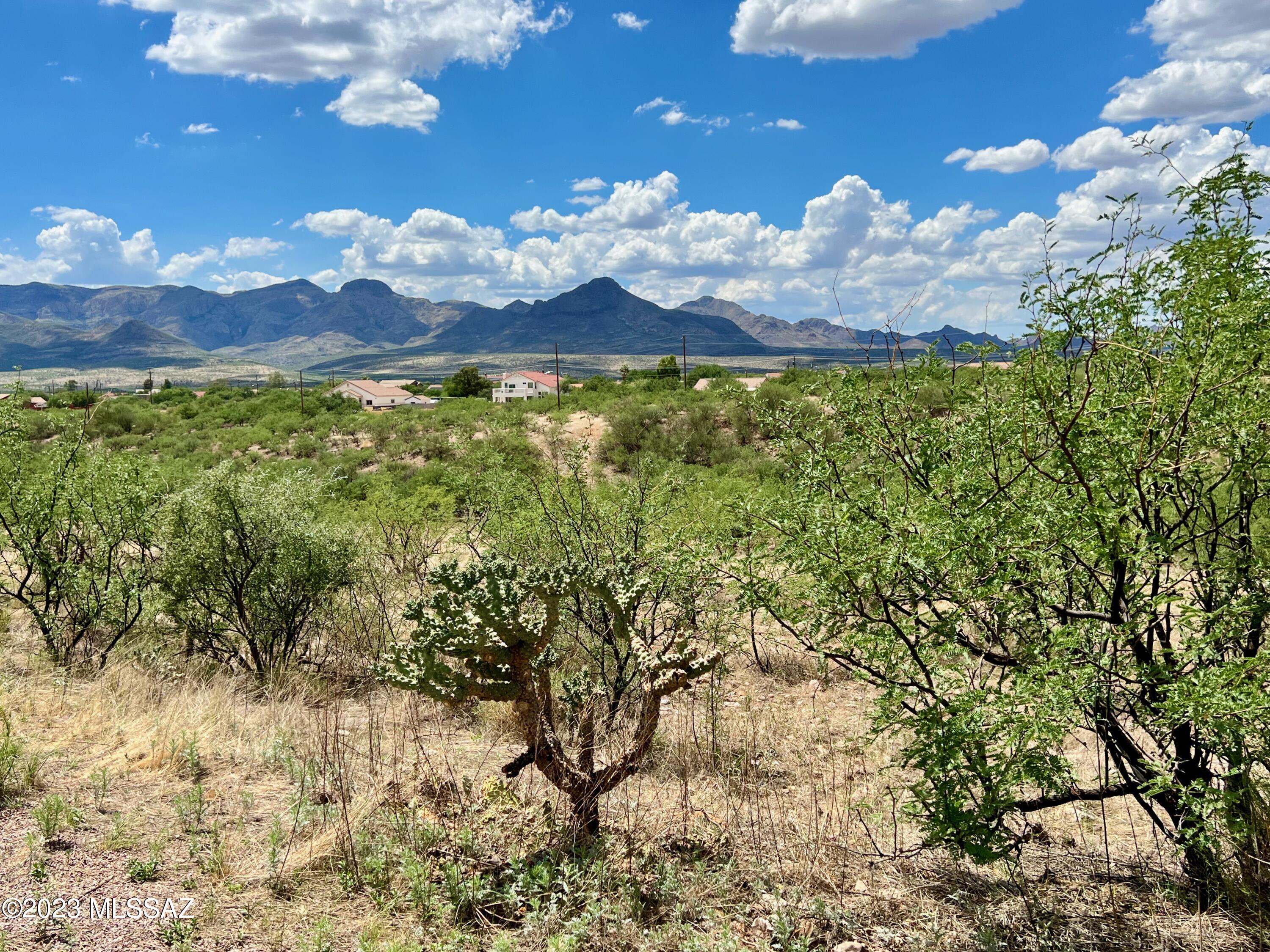 1199 Circulo Golfo, Unit 64 Rio Rico, AZ 85648 - Photo 12 of 29 a view of a lake in the background