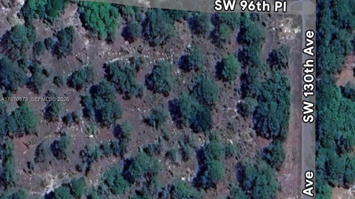 Undetermined Southwest 130th Avenue Dunnellon, FL 34432 - Photo 2 of 4