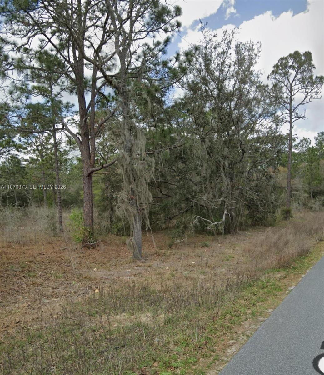 Undetermined Southwest 130th Avenue Dunnellon, FL 34432 - Photo 4 of 4