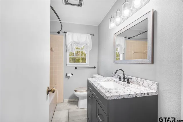 a bathroom with a granite countertop sink toilet and a mirror
