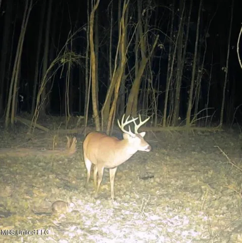 $360,000 | 340 Horsepen Road, Gore Springs, MS 38929