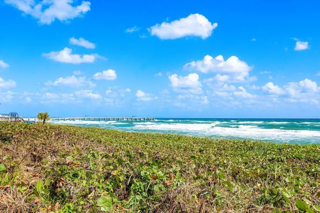 a view of a lake and a yard