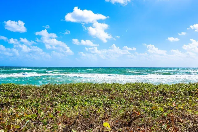 a view of a big yard with lots of green space