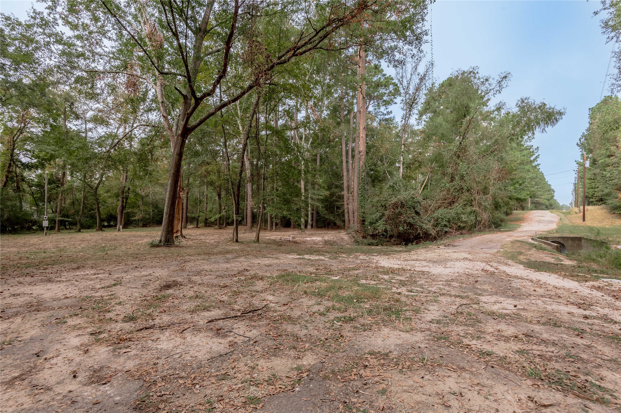 525 Canadian Drive Trinity, TX 75862 - Photo 12 of 36 a view of backyard with green space