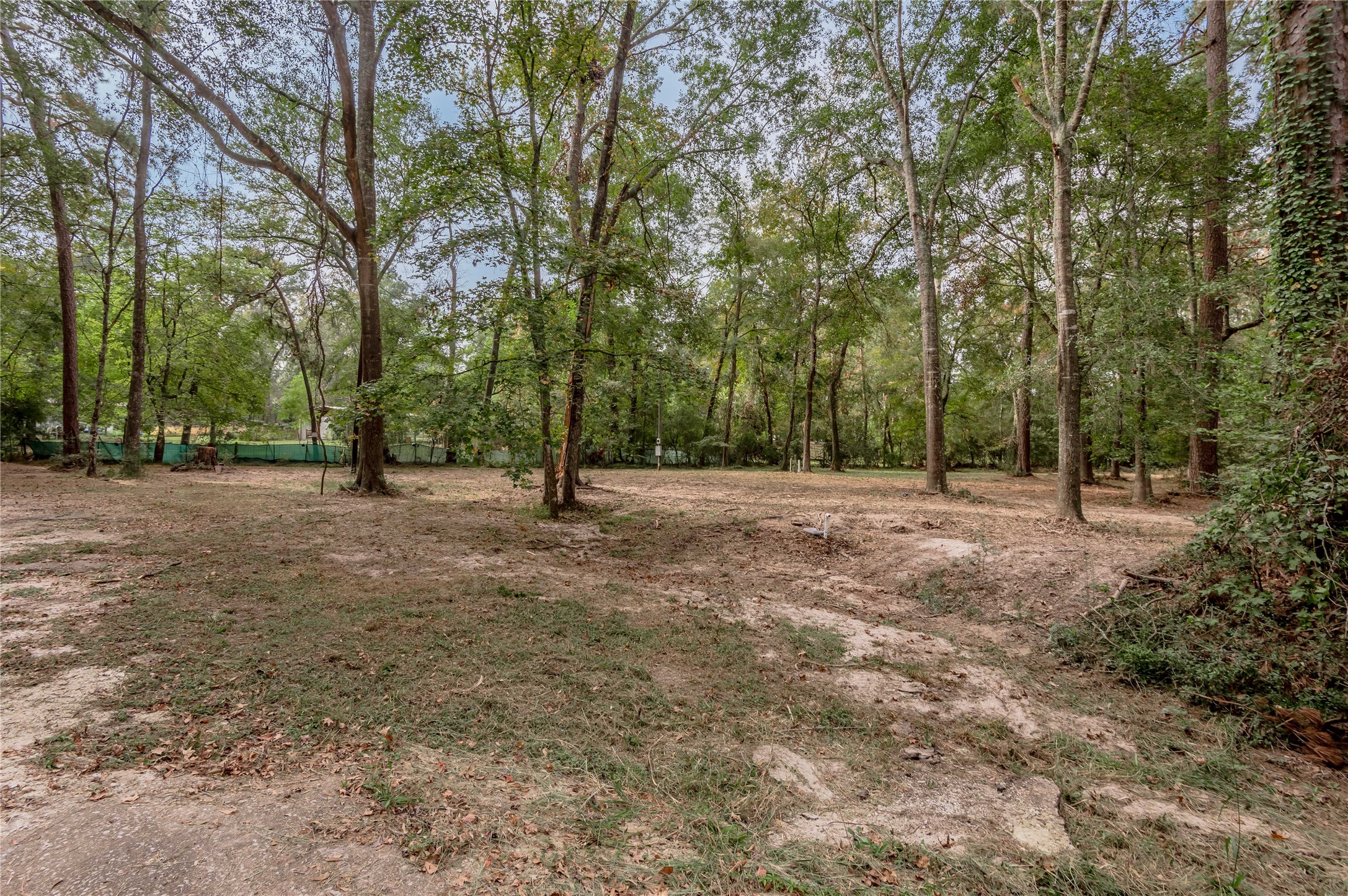 525 Canadian Drive Trinity, TX 75862 - Photo 13 of 36 a view of outdoor space with trees