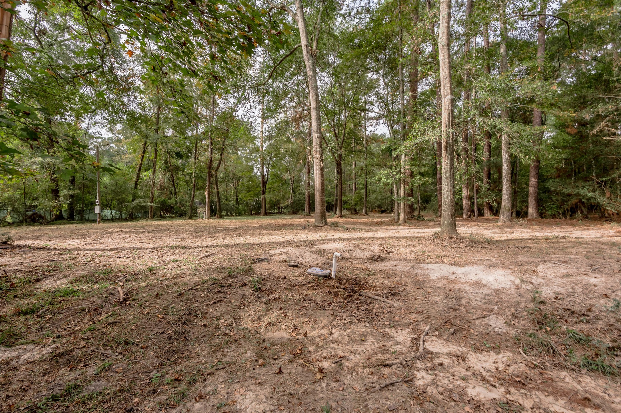 525 Canadian Drive Trinity, TX 75862 - Photo 14 of 36 a backyard of a house with lots of green space