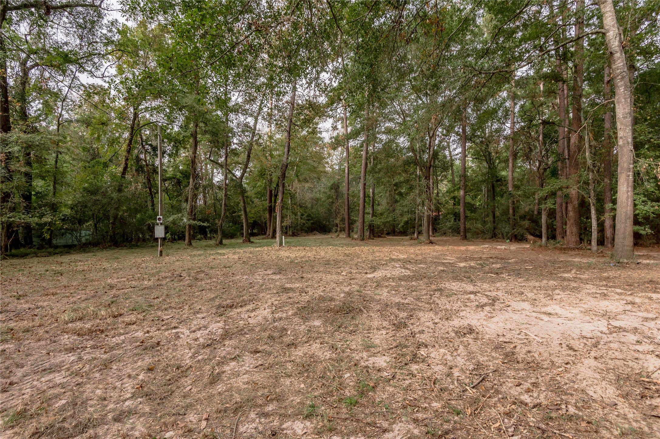 525 Canadian Drive Trinity, TX 75862 - Photo 15 of 36 a view of outdoor space with deck and yard