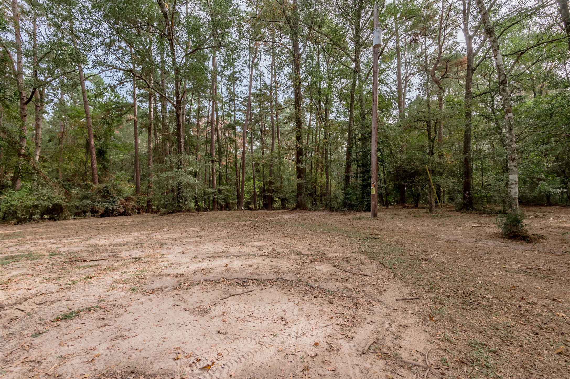 525 Canadian Drive Trinity, TX 75862 - Photo 16 of 36