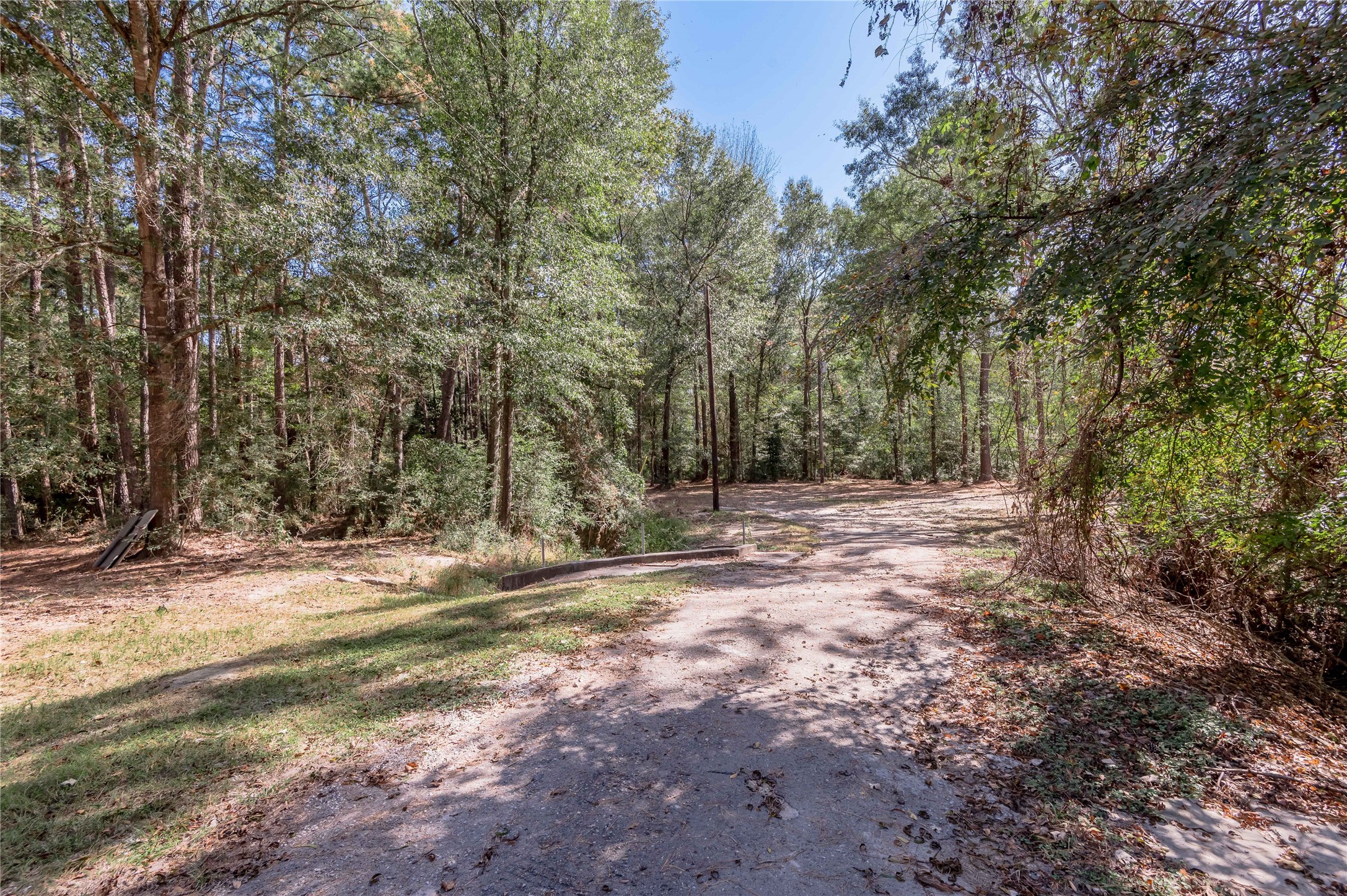 525 Canadian Drive Trinity, TX 75862 - Photo 17 of 36 a view of a yard with large trees