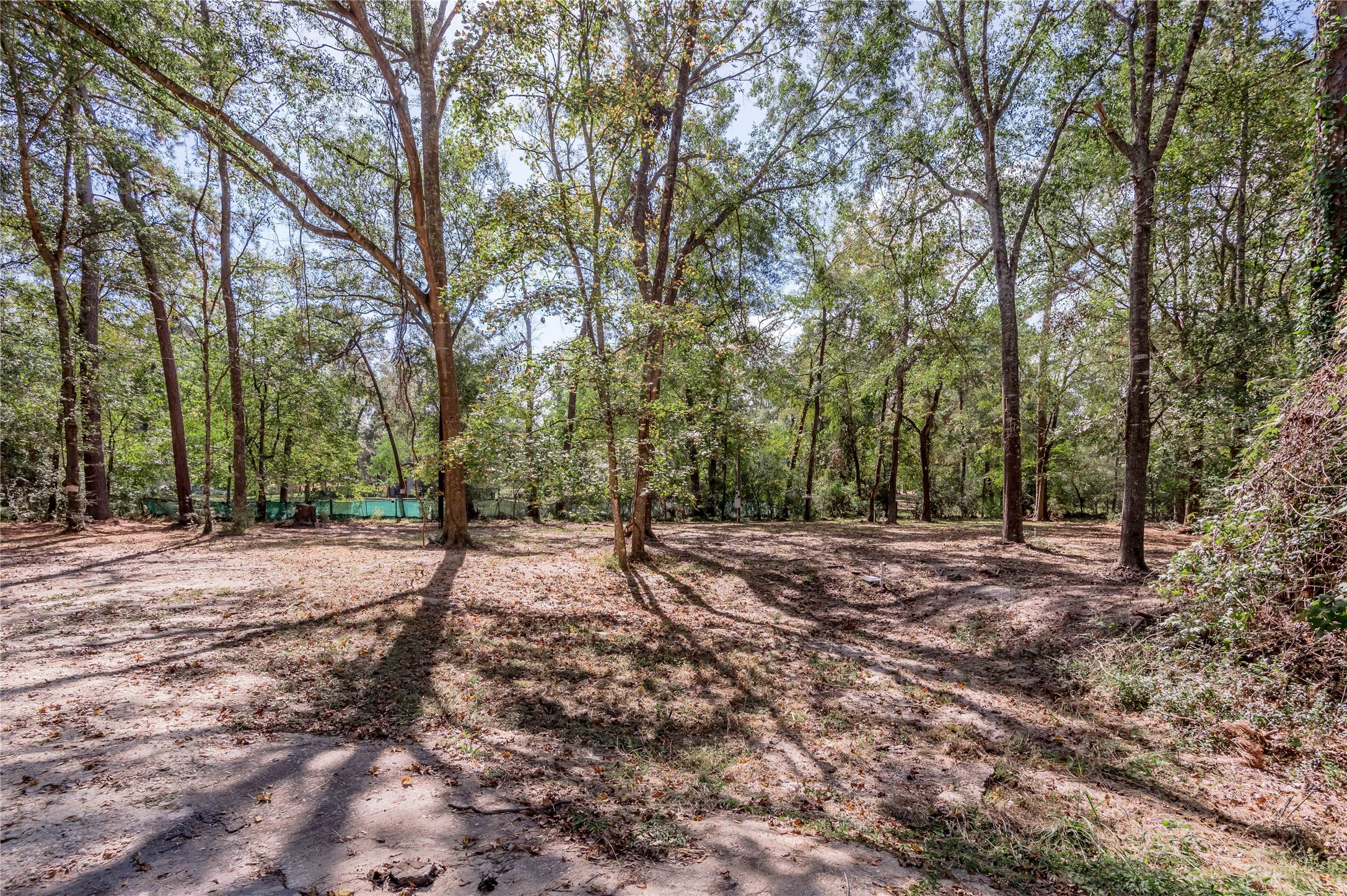 525 Canadian Drive Trinity, TX 75862 - Photo 18 of 36