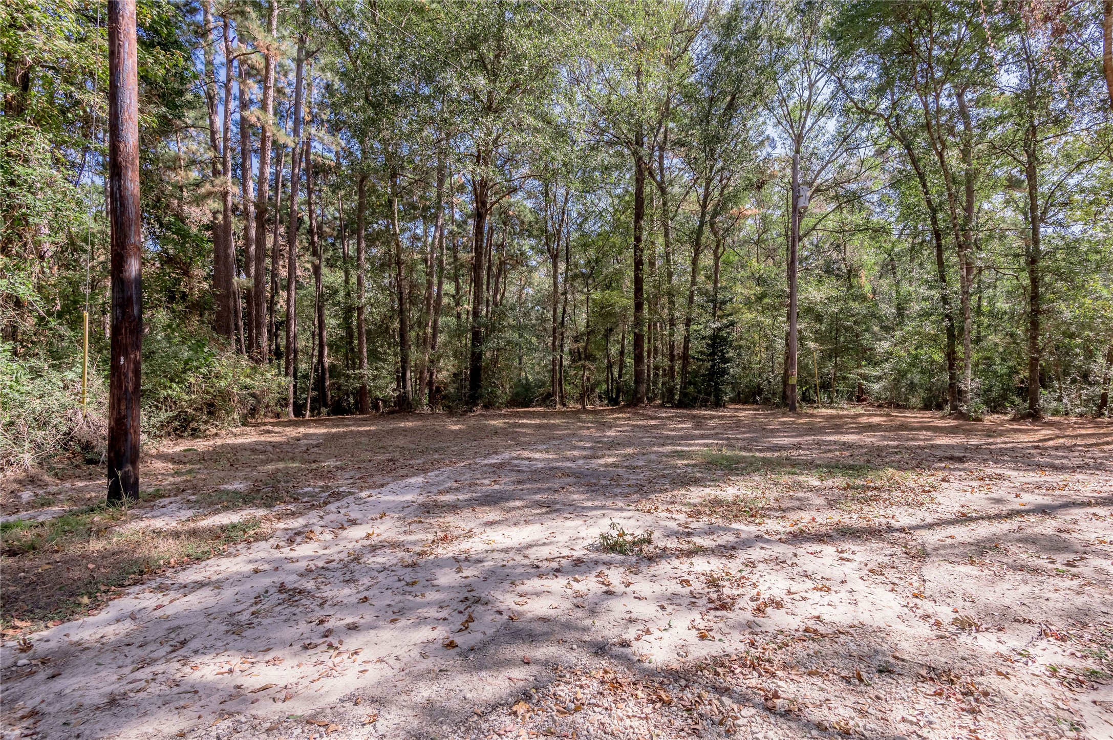 525 Canadian Drive Trinity, TX 75862 - Photo 19 of 36 a view of outdoor space with trees