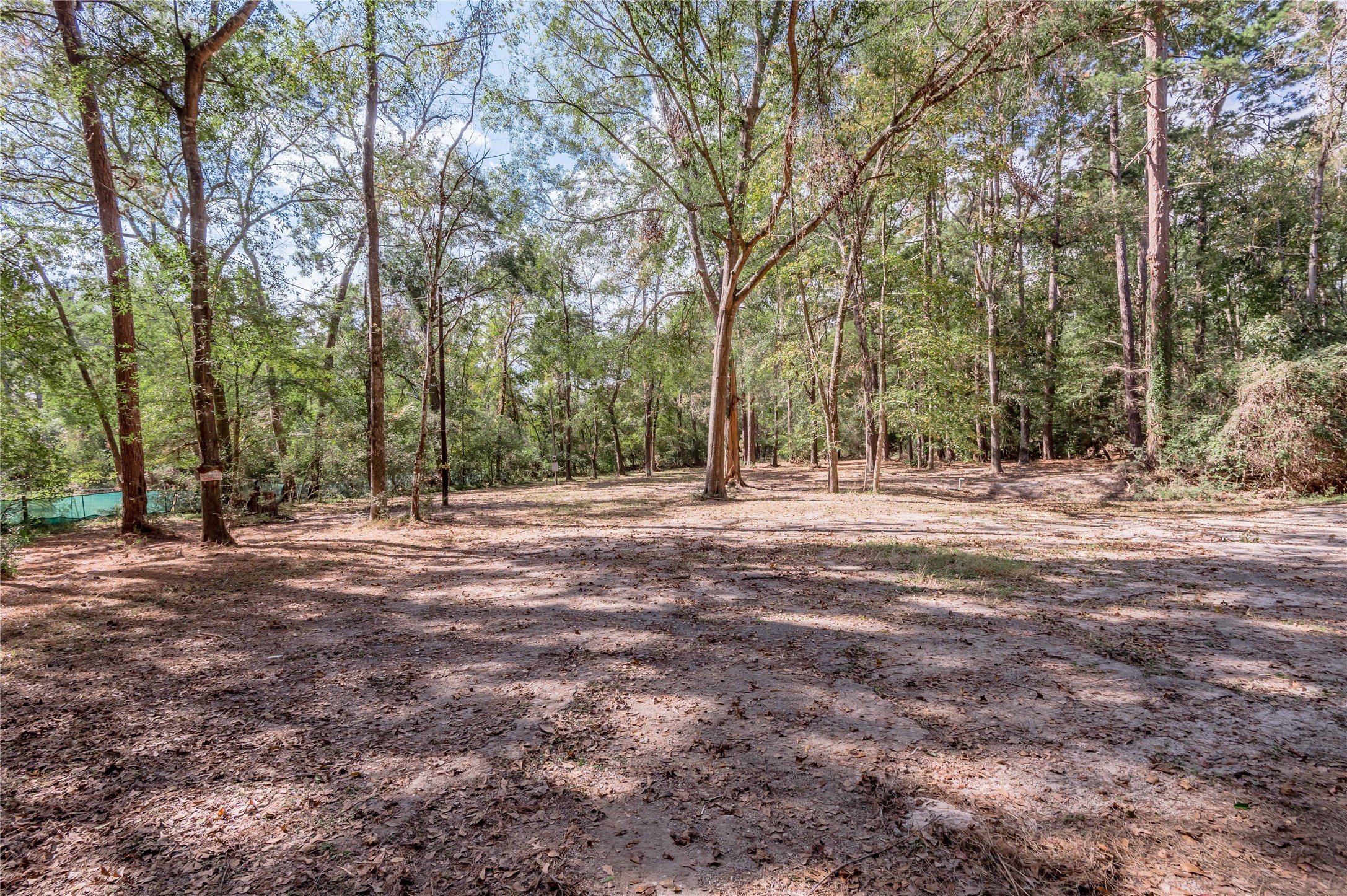 525 Canadian Drive Trinity, TX 75862 - Photo 21 of 36 a view of outdoor space with trees