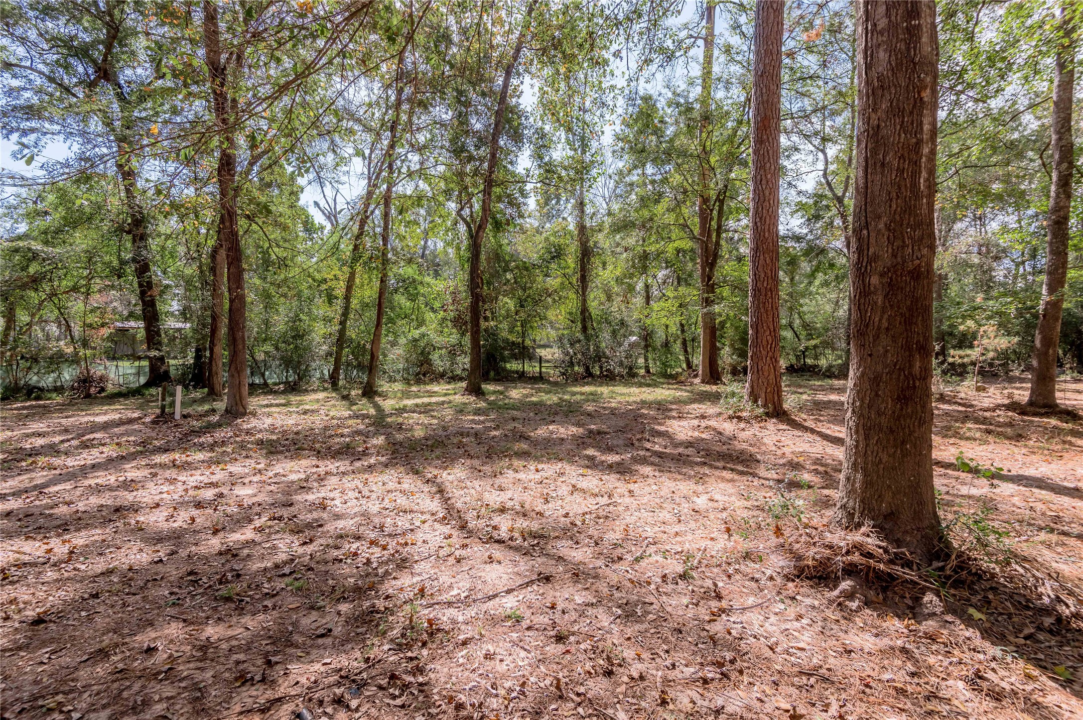 525 Canadian Drive Trinity, TX 75862 - Photo 25 of 36 a view of outdoor space with trees