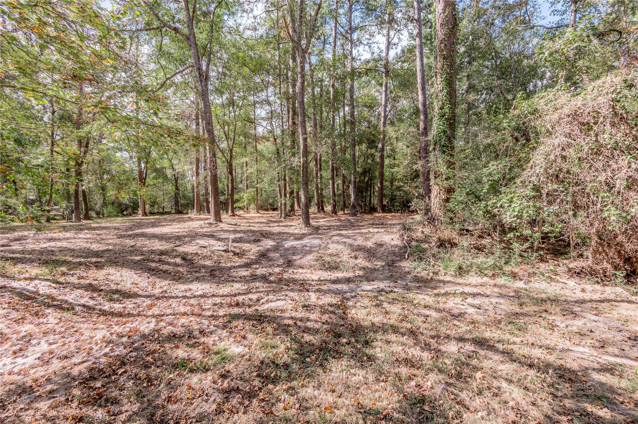 525 Canadian Drive Trinity, TX 75862 - Photo 26 of 36