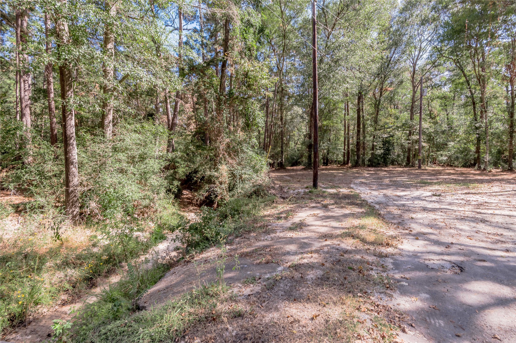 525 Canadian Drive Trinity, TX 75862 - Photo 27 of 36 a view of outdoor space with trees
