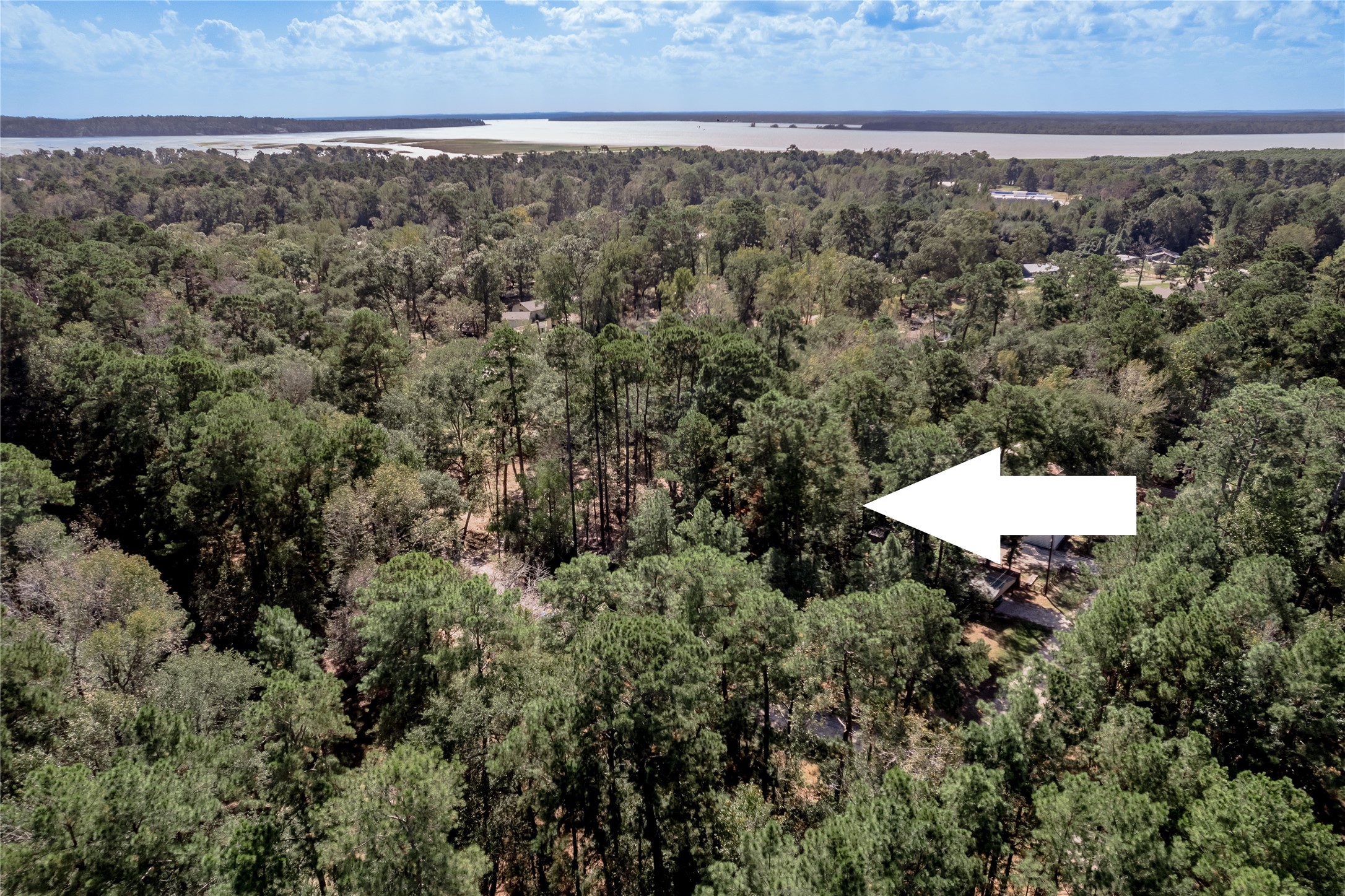 525 Canadian Drive Trinity, TX 75862 - Photo 3 of 36