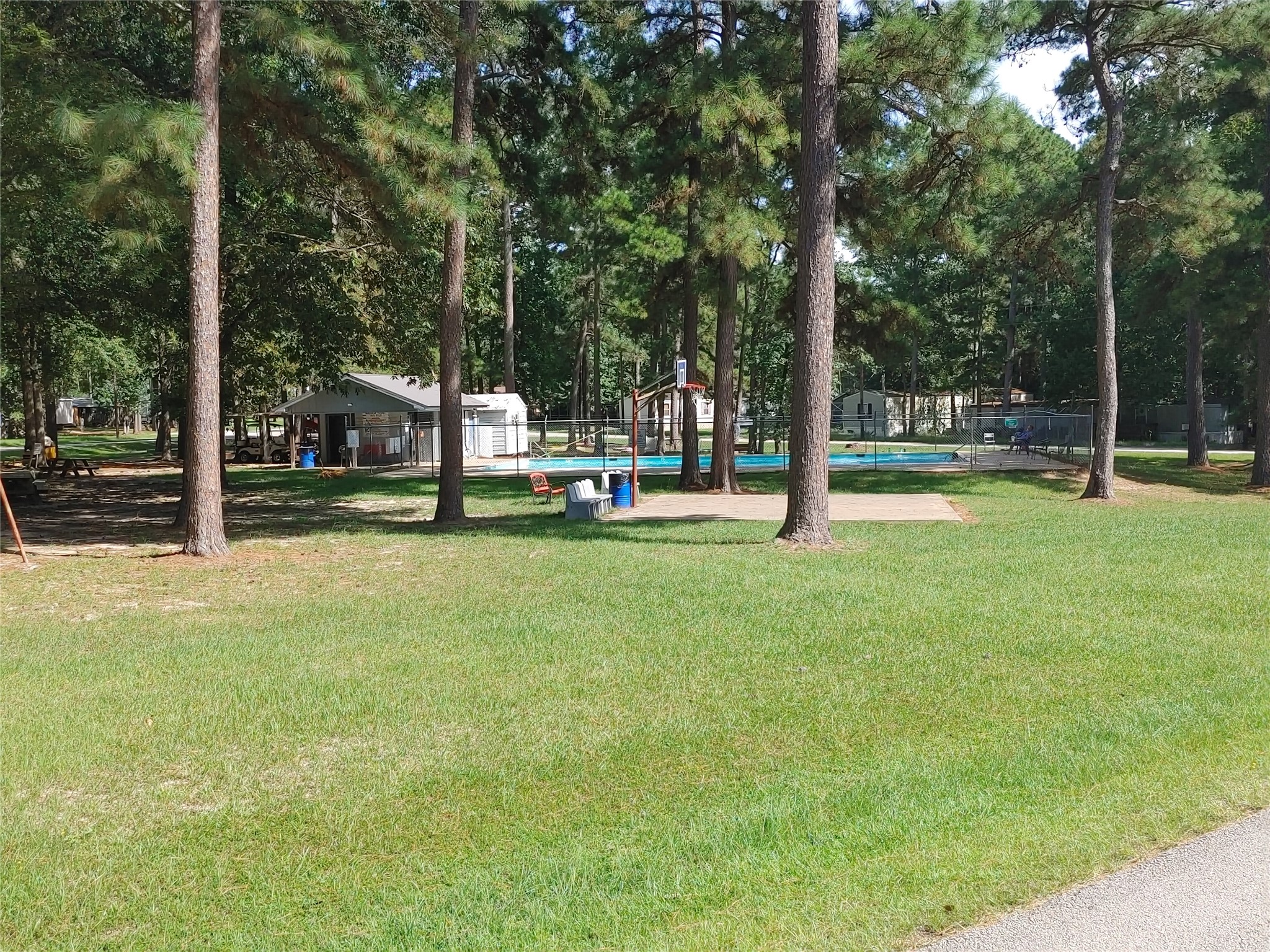 525 Canadian Drive Trinity, TX 75862 - Photo 35 of 36 a view of park with trees