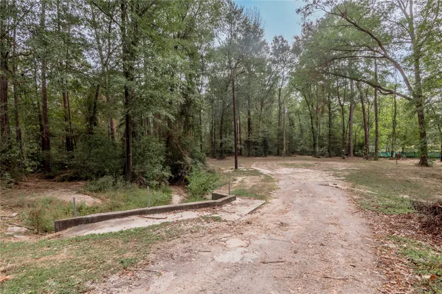 a view of a yard with trees in the background
