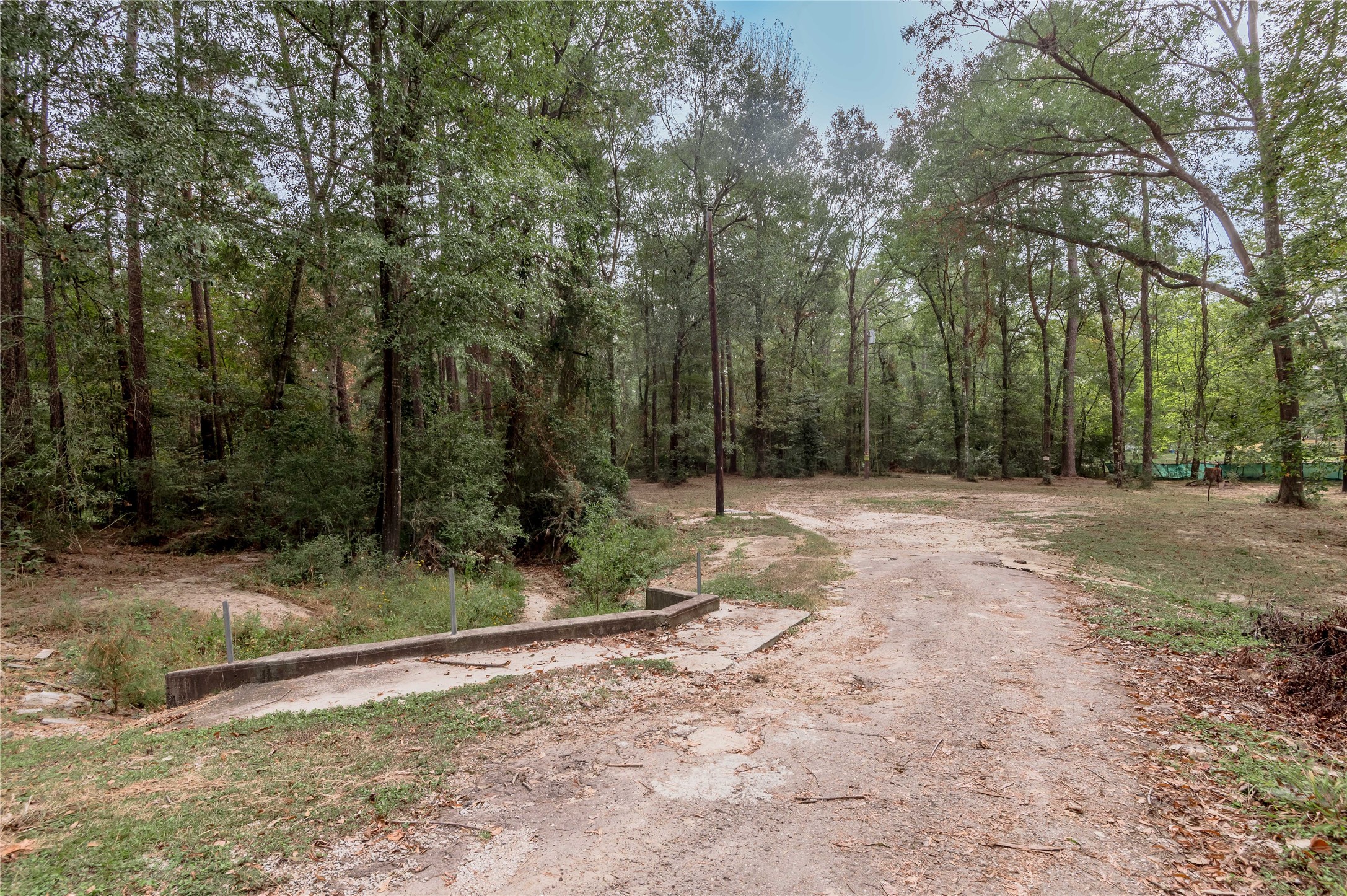 525 Canadian Drive Trinity, TX 75862 - Photo 4 of 36 a backyard of a house with lots of green space