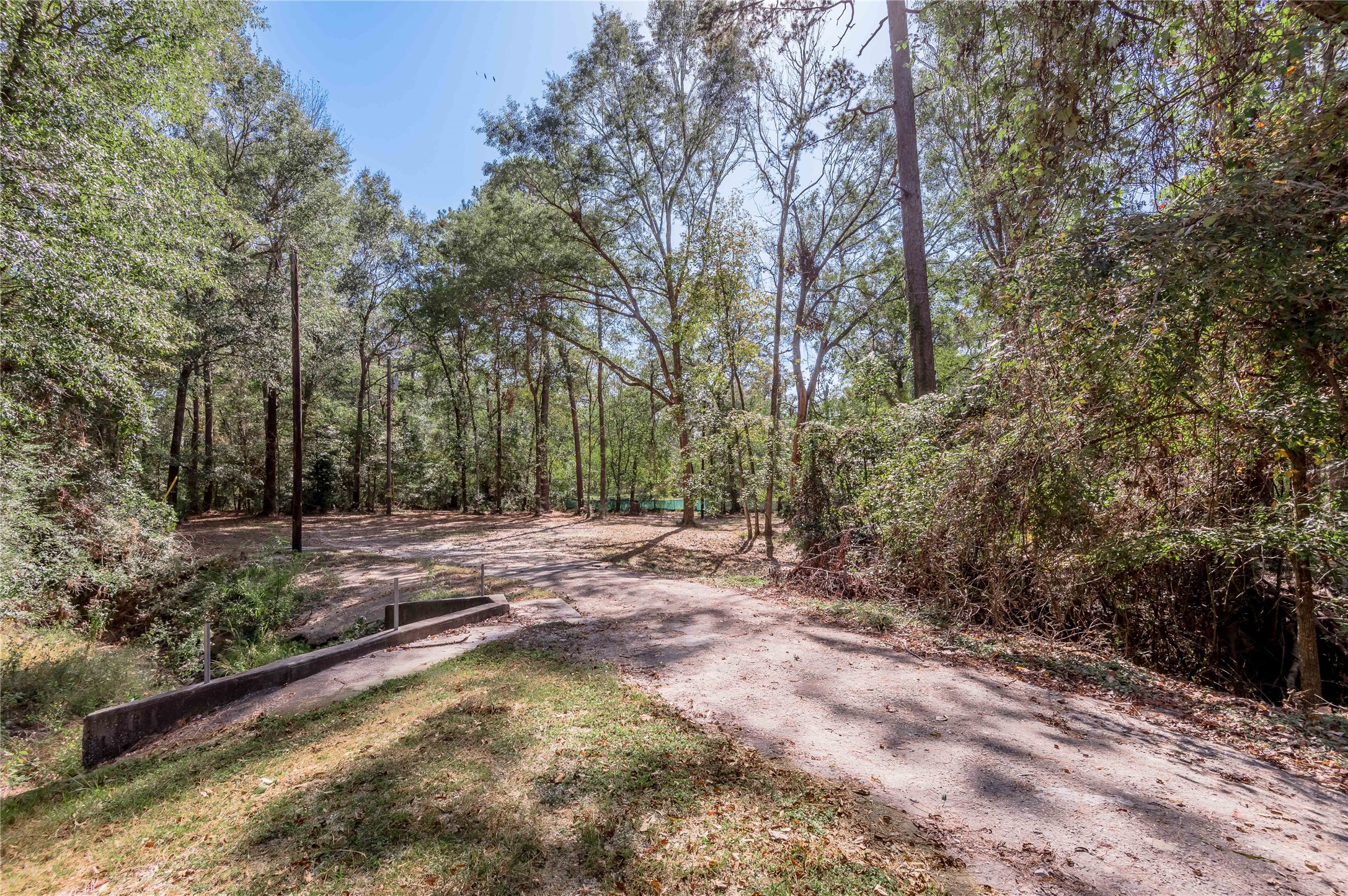 525 Canadian Drive Trinity, TX 75862 - Photo 5 of 36 a view of a yard with trees in the background