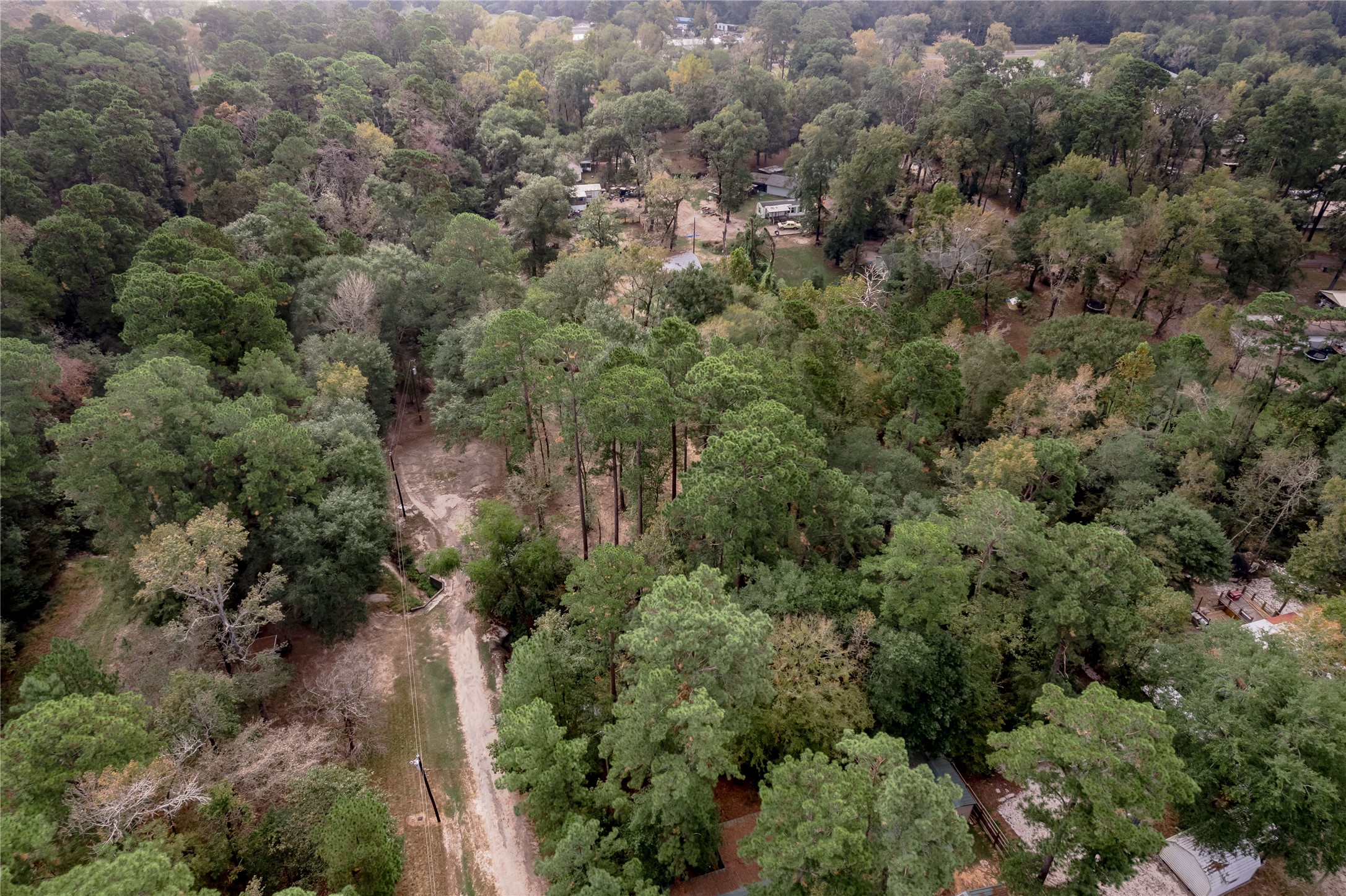 525 Canadian Drive Trinity, TX 75862 - Photo 6 of 36 an aerial view of residential house with outdoor space and trees all around