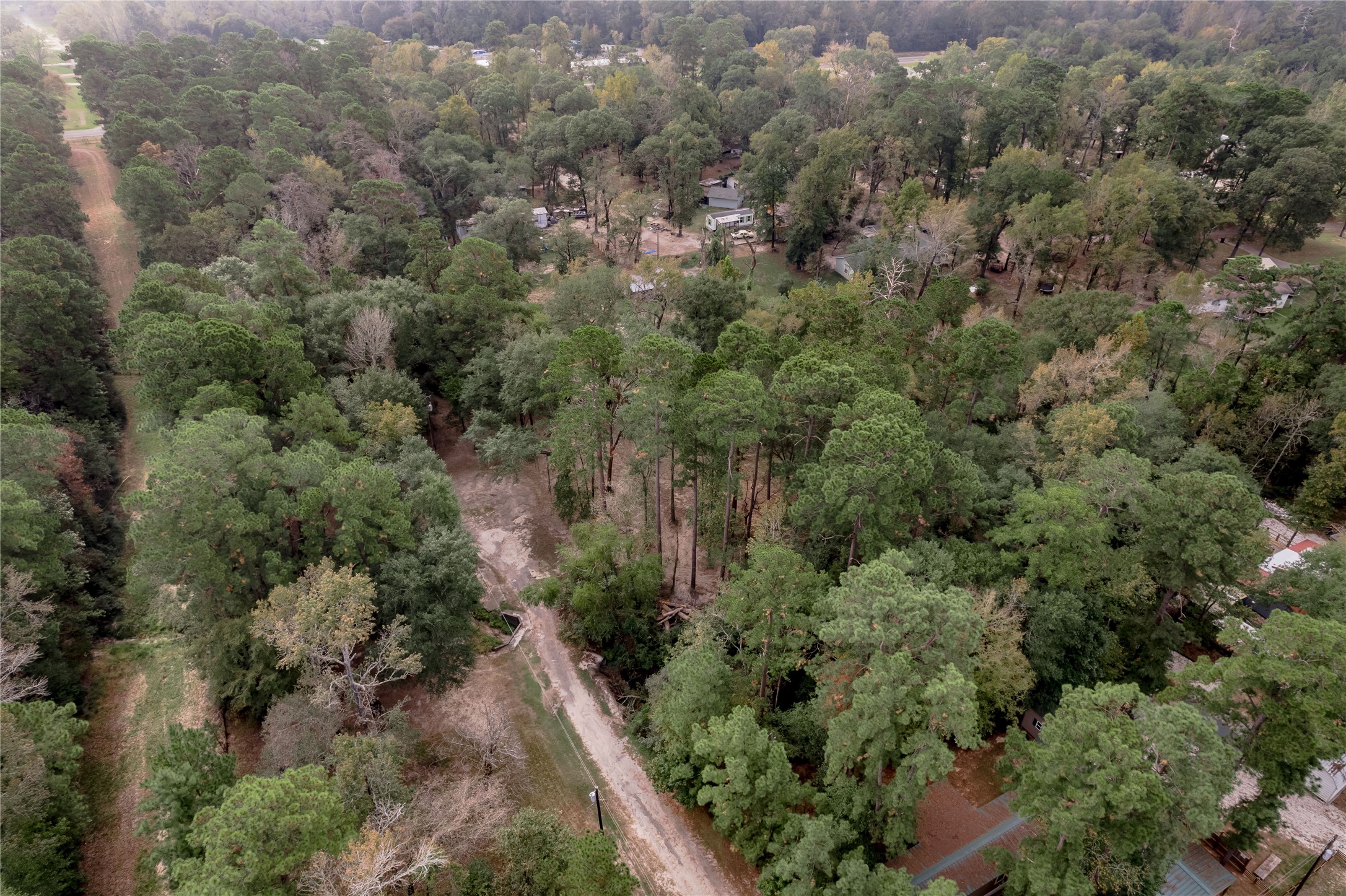 525 Canadian Drive Trinity, TX 75862 - Photo 7 of 36 an aerial view of residential house with outdoor space and trees all around