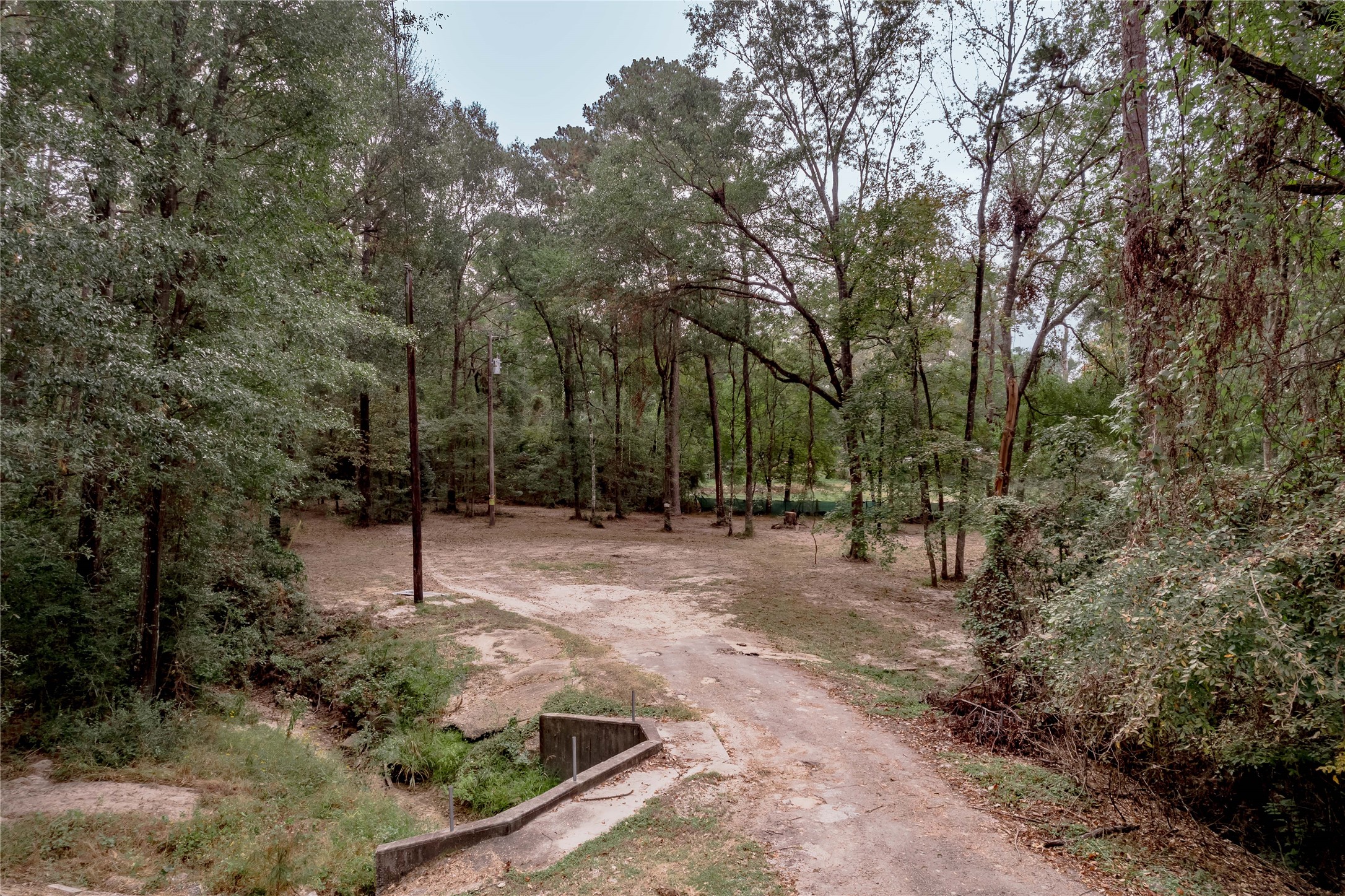 525 Canadian Drive Trinity, TX 75862 - Photo 8 of 36 a backyard of a house with lots of green space