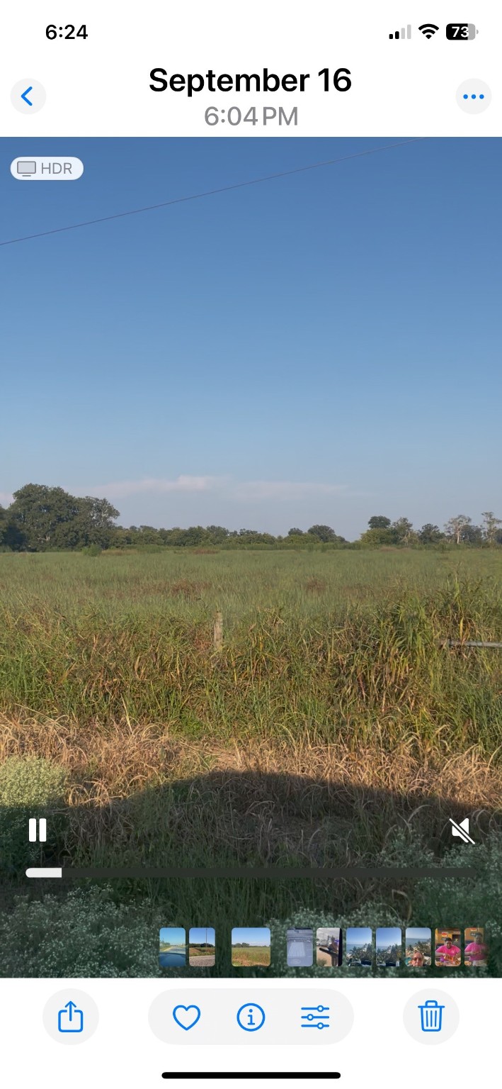 442 FM 640 Road Wharton, TX 77488 - Photo 3 of 5 a view of city and ocean