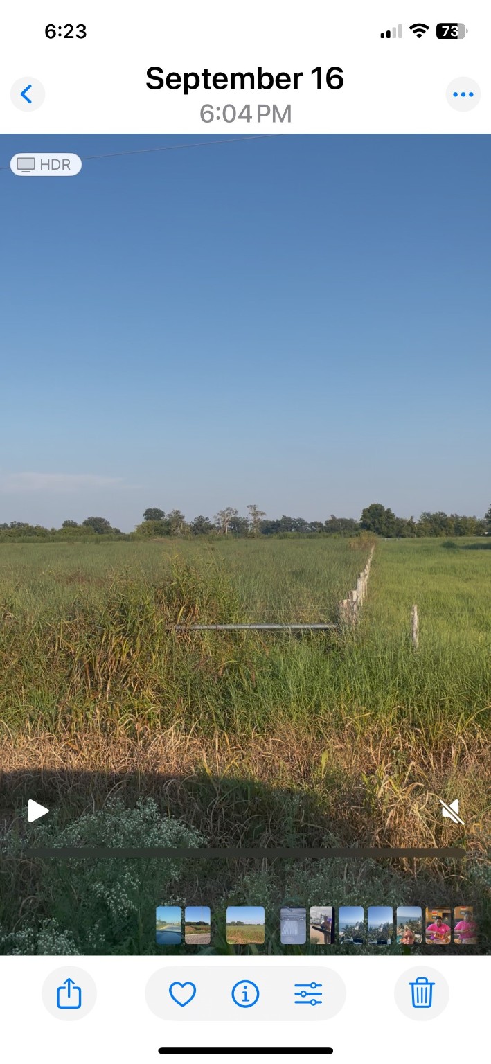 442 FM 640 Road Wharton, TX 77488 - Photo 4 of 5 a view of lake with mountain