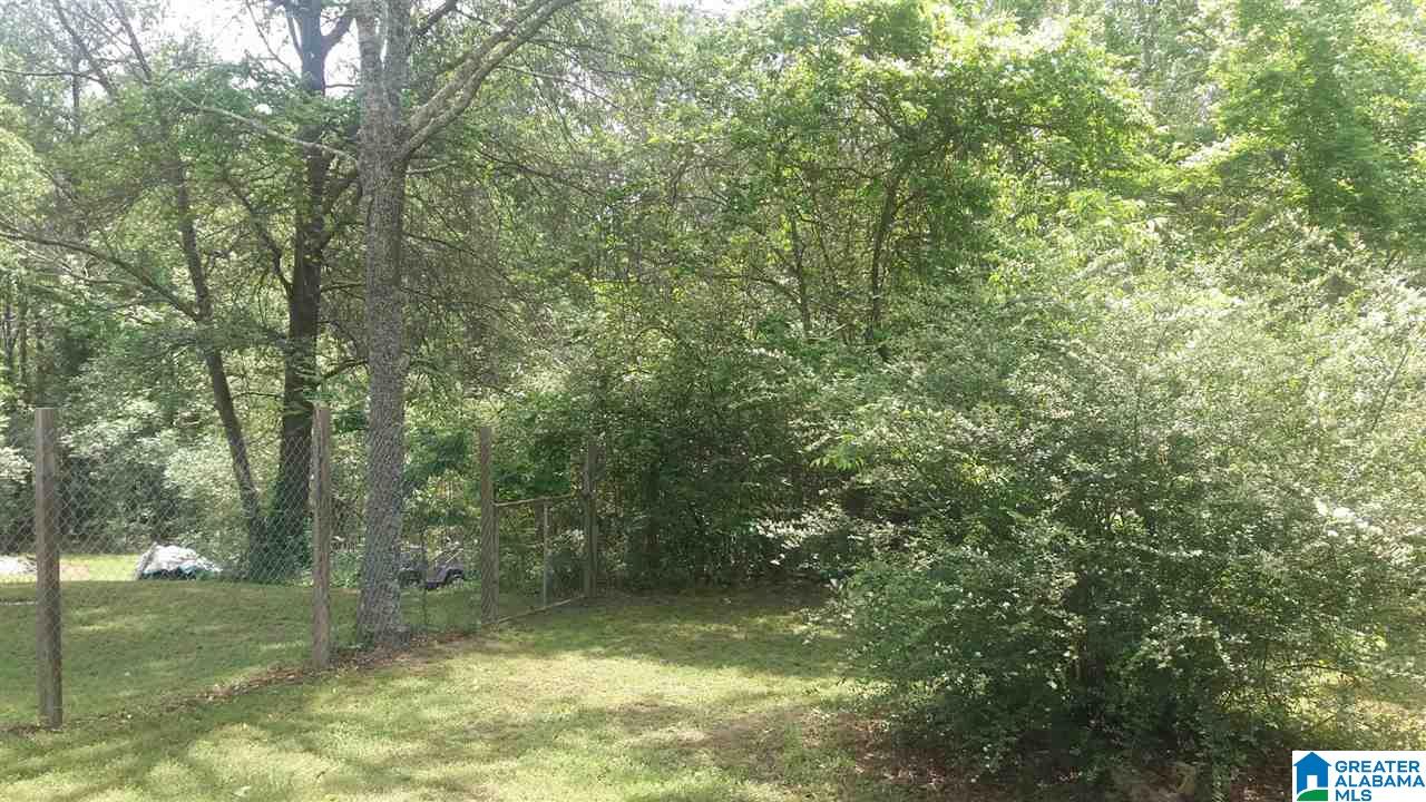 9695 Bankston Road Dora, AL 35062 - Photo 9 of 24