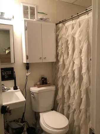 a bathroom with a toilet a sink and a shower curtain