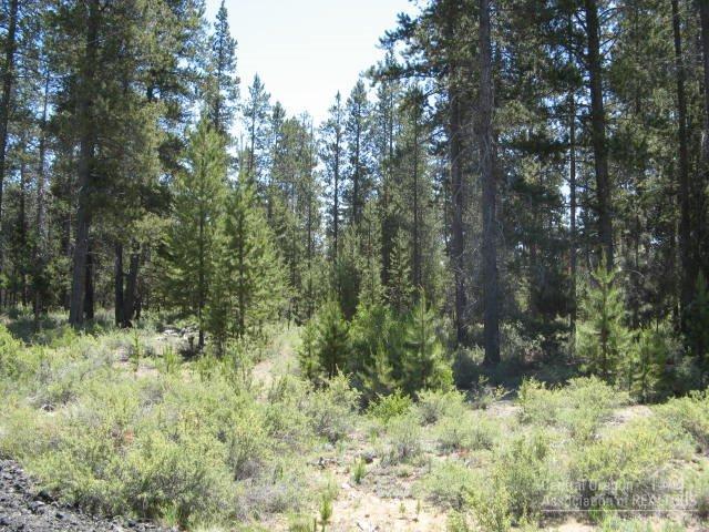 16207 Hawks Lair Road La Pine, OR 97739 - Photo 1 of 2 Primary Photo