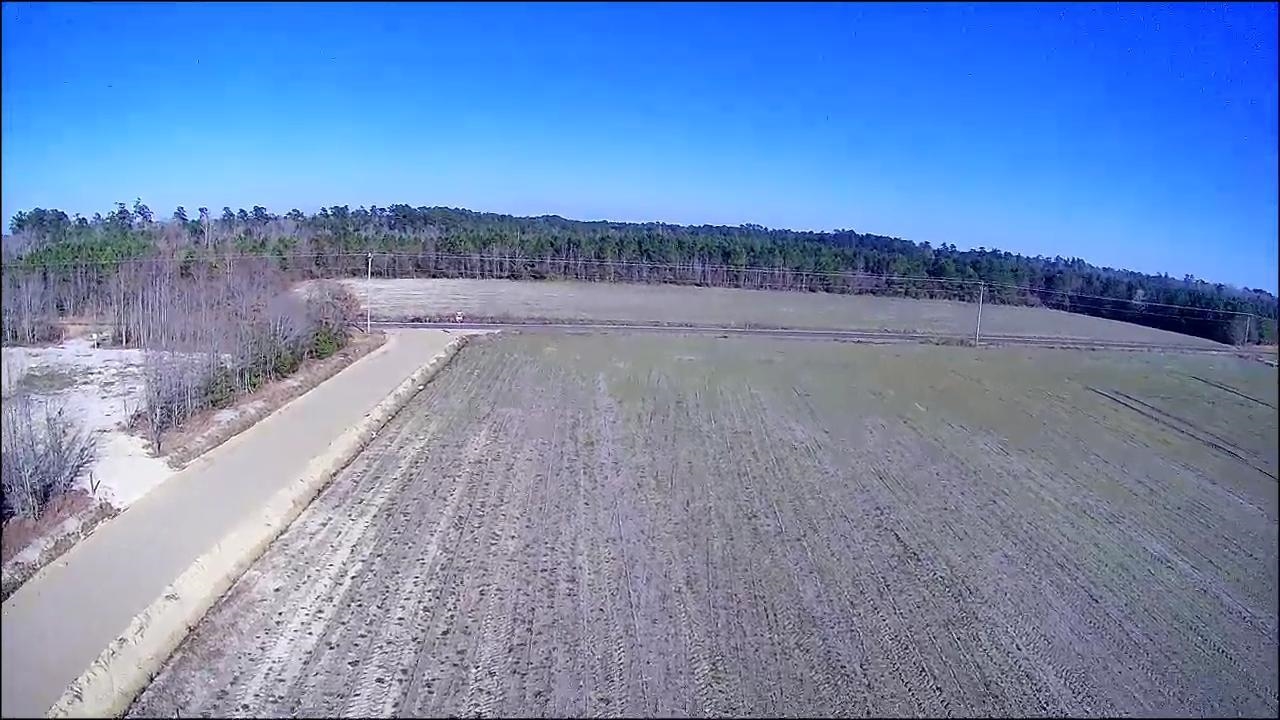 13 Tyler Road Galivants Ferry, SC 29544 - Photo 18 of 24 Gallery Image 18