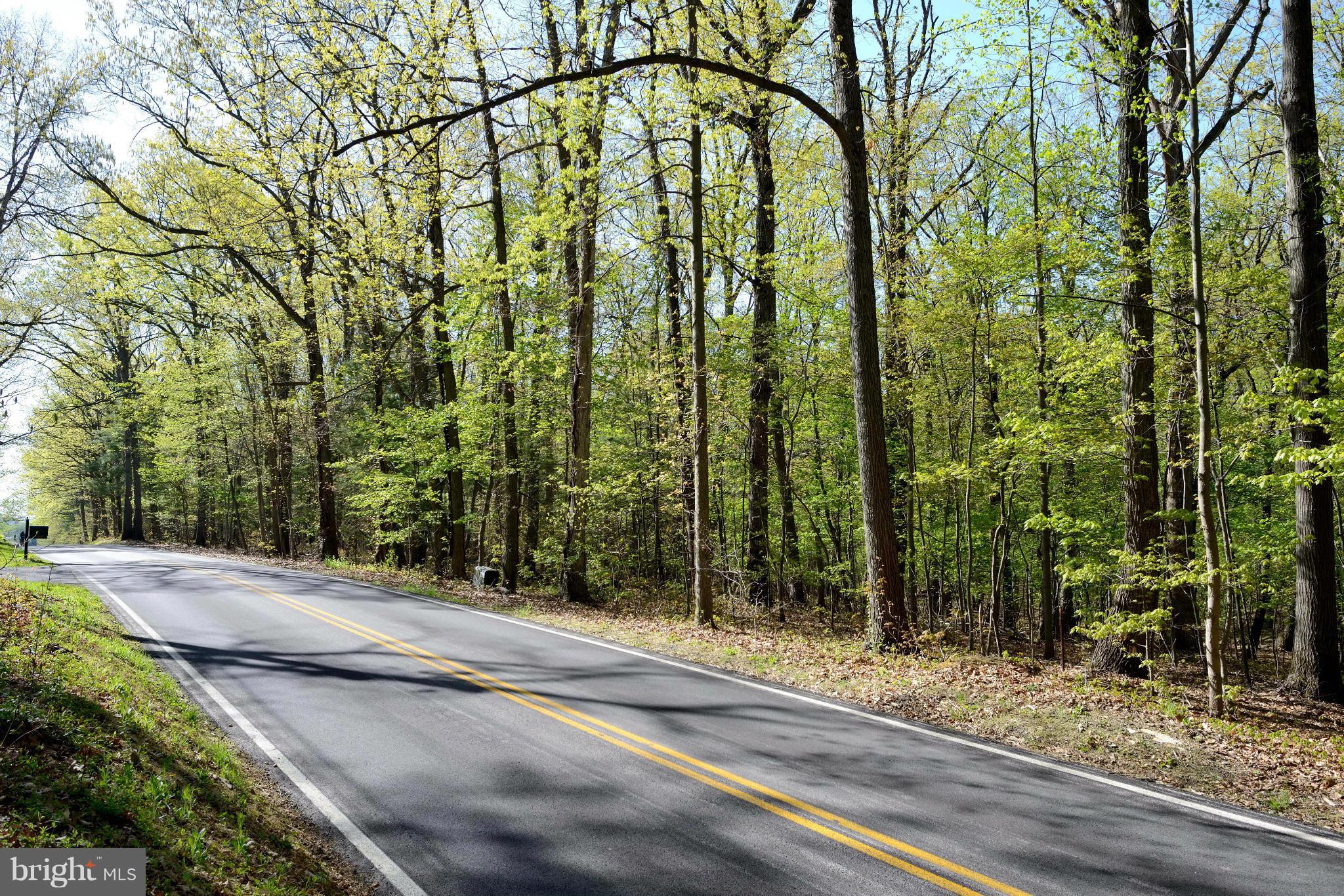 Hardy Rd Mount Southwest Mount Airy, MD 21771 - Photo 6 of 11 View