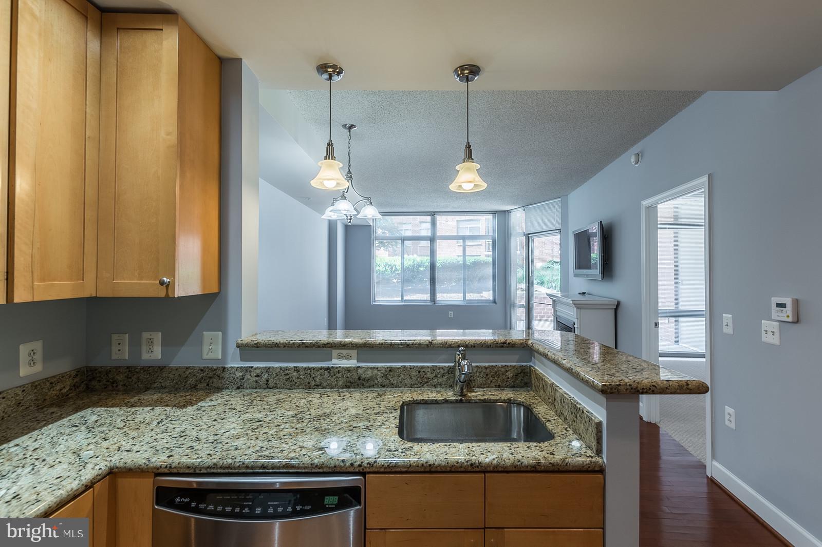 3600 South Glebe Road, Unit 227W Arlington, VA 22202 - Photo 8 of 29 a kitchen with granite countertop a sink a window and cabinets