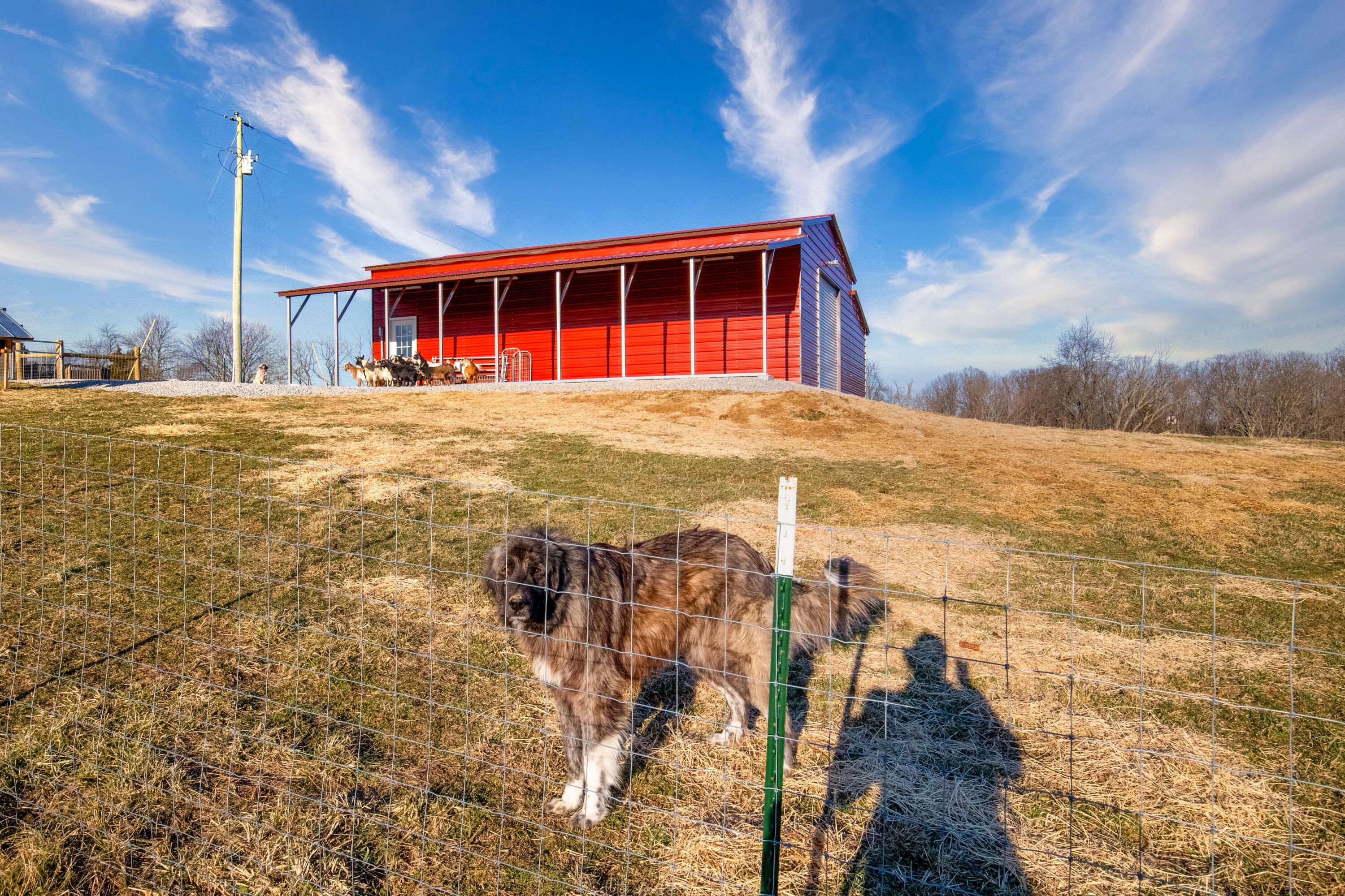 1190 Stewart Ridge Road Sparta, KY 41086 - Photo 35 of 39