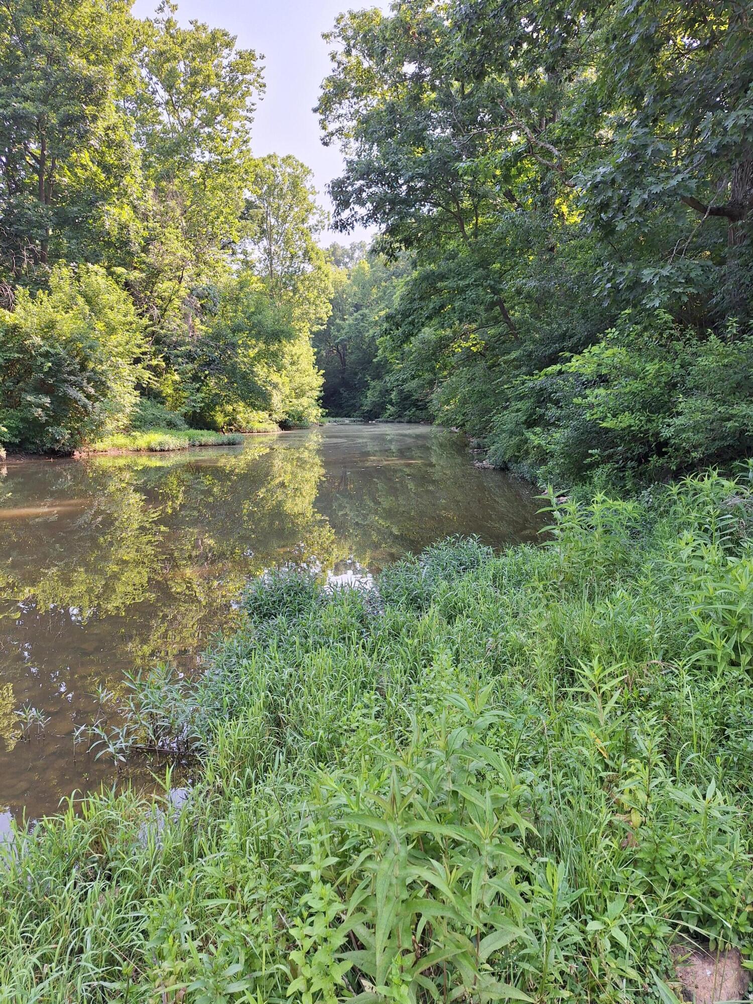 405 Robinson Road Cynthiana, KY 41031 - Photo 12 of 25 Gallery Image 12