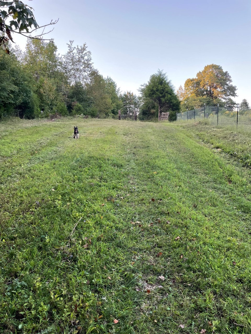 0 Issac Clifton Road Chapmansboro, TN 37035 - Photo 3 of 10 Gallery Image 3