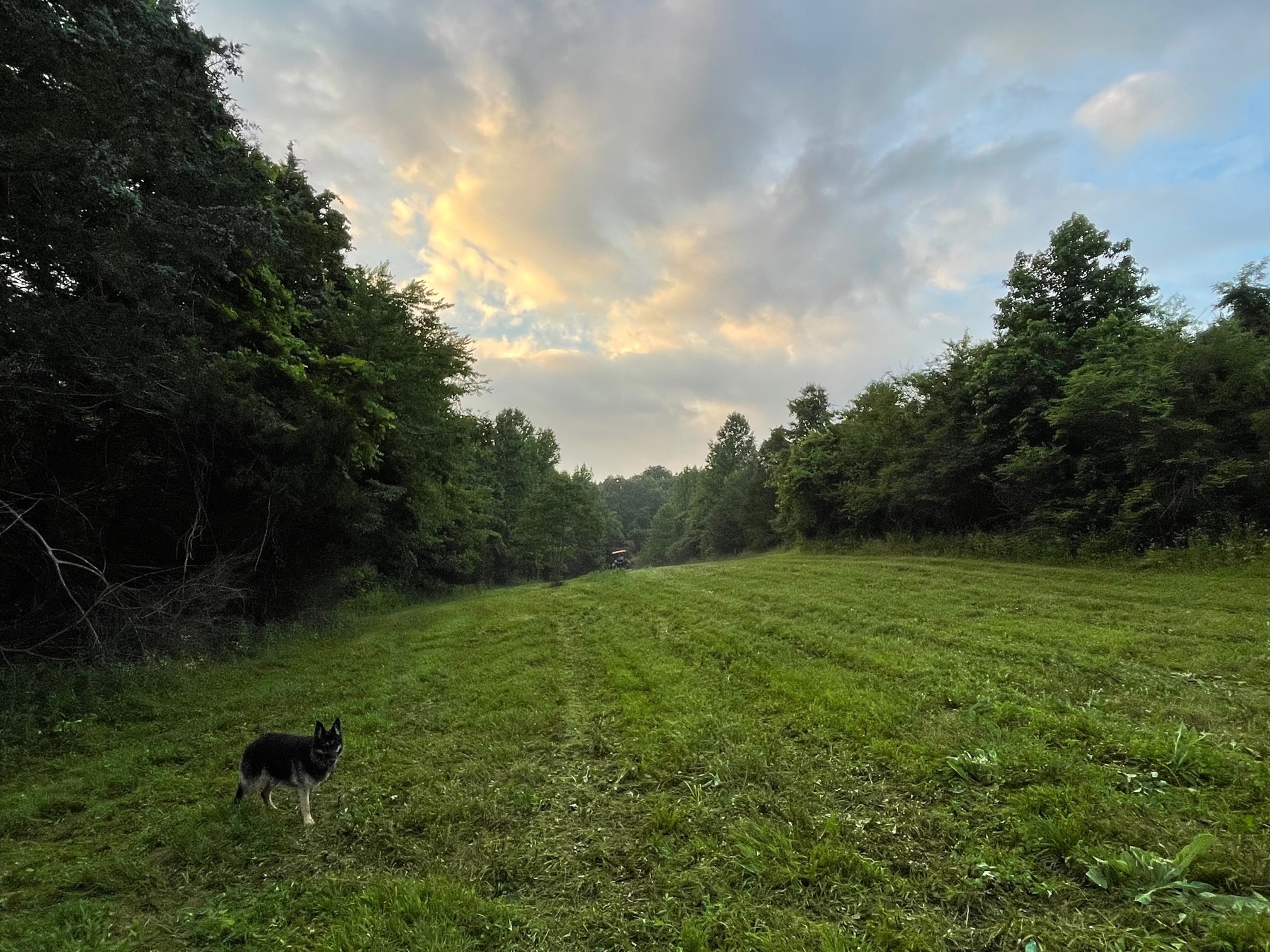 0 Issac Clifton Road Chapmansboro, TN 37035 - Photo 8 of 10 Gallery Image 8