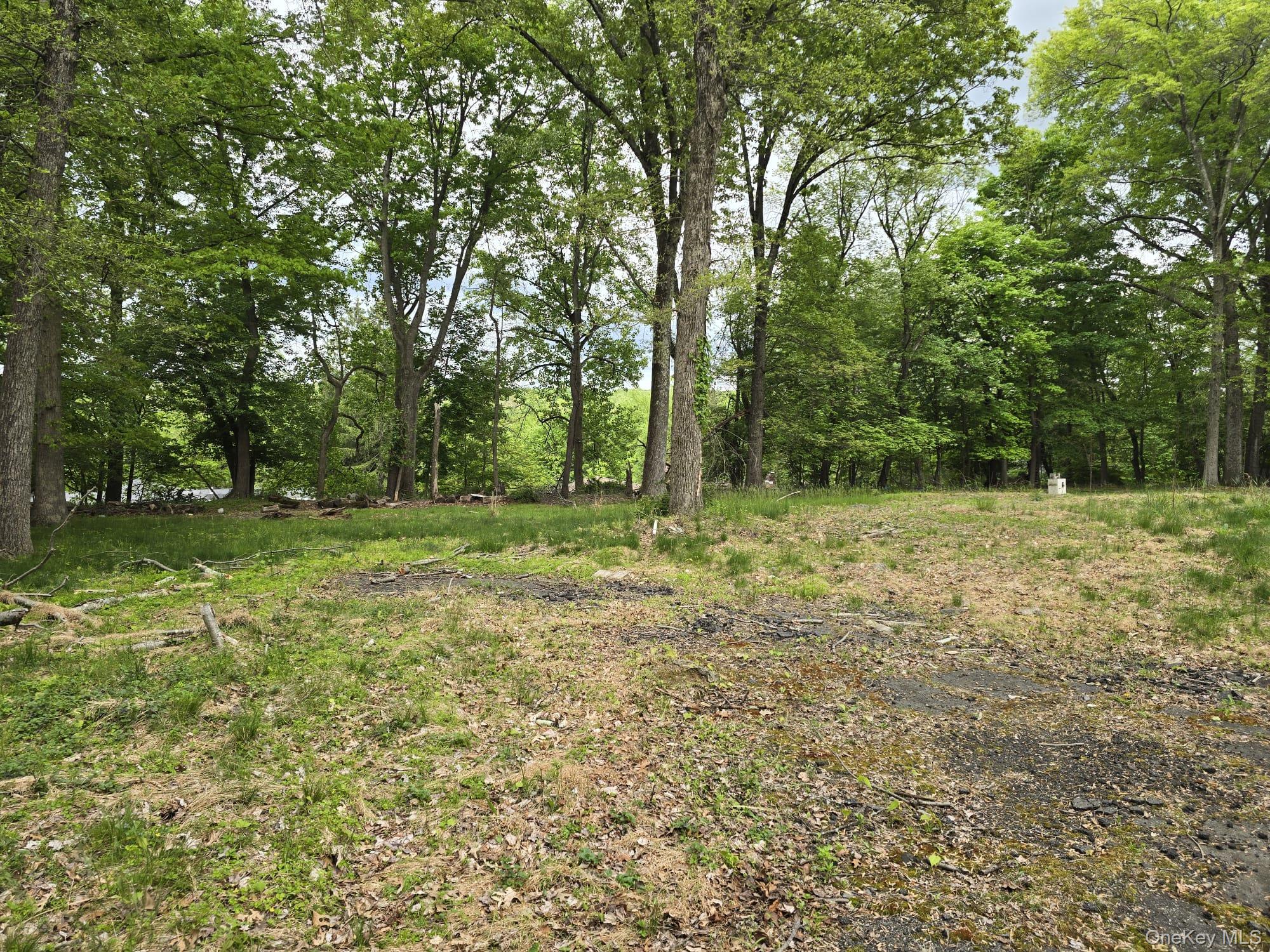 6 Jacqueline Road Monsey, NY 10952 - Photo 2 of 7
