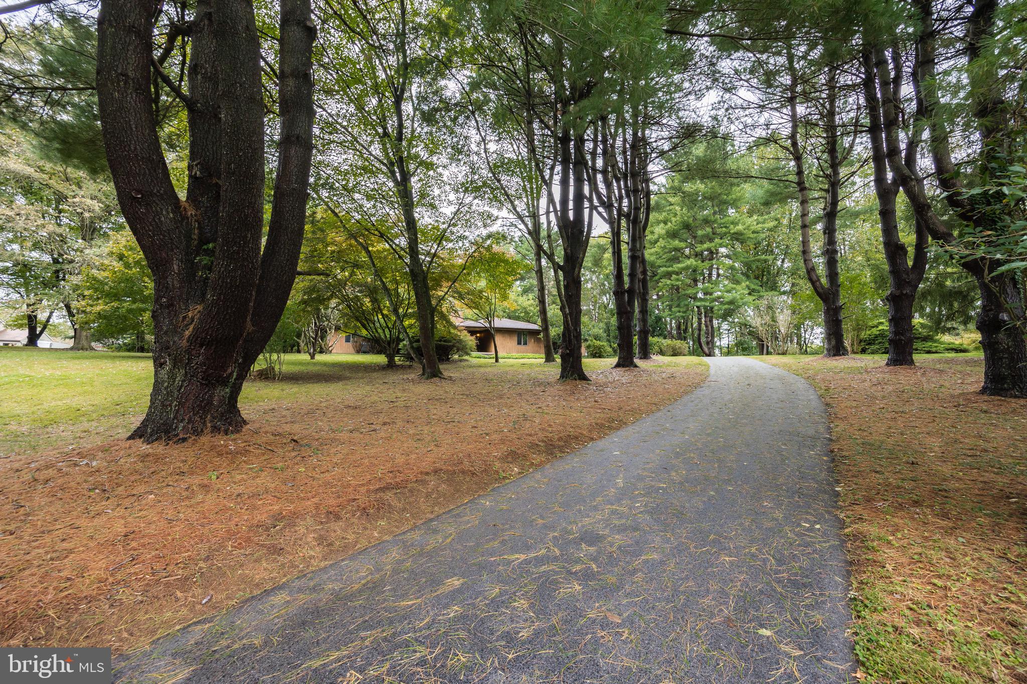 4 Hilltop Road Kennett Square, PA 19348 - Photo 38 of 40 Long Private Driveway