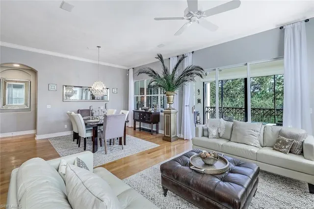 a living room with furniture potted plant and a large window