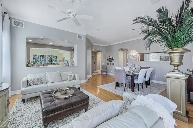 a living room with furniture kitchen view and a potted plant