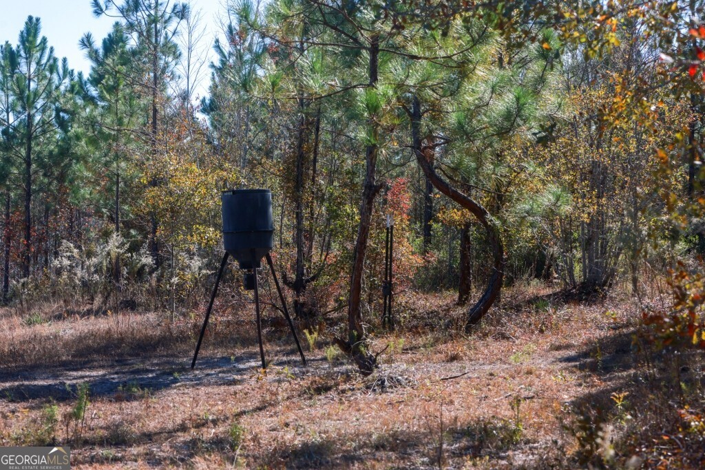 0 Morton Road Dublin, GA 31021 - Photo 20 of 38