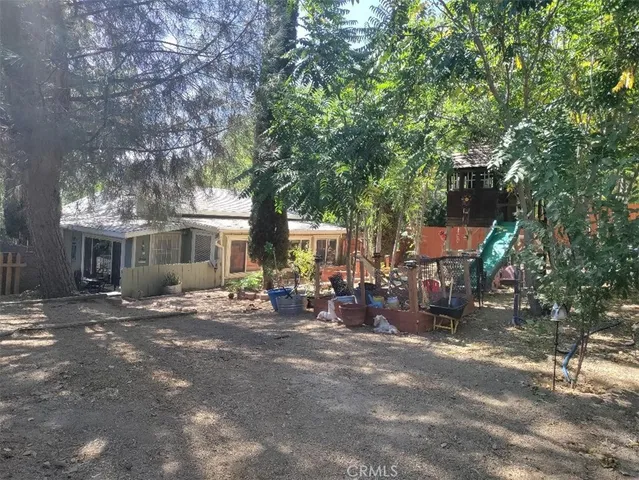 a view of a park with a tree