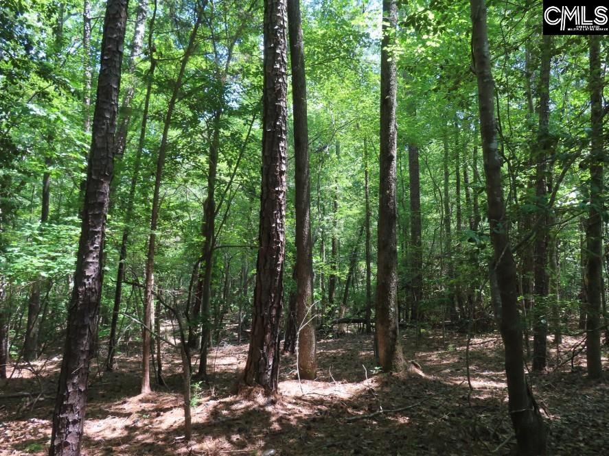0 Park Road Ridgeway, SC 29130 - Photo 18 of 47