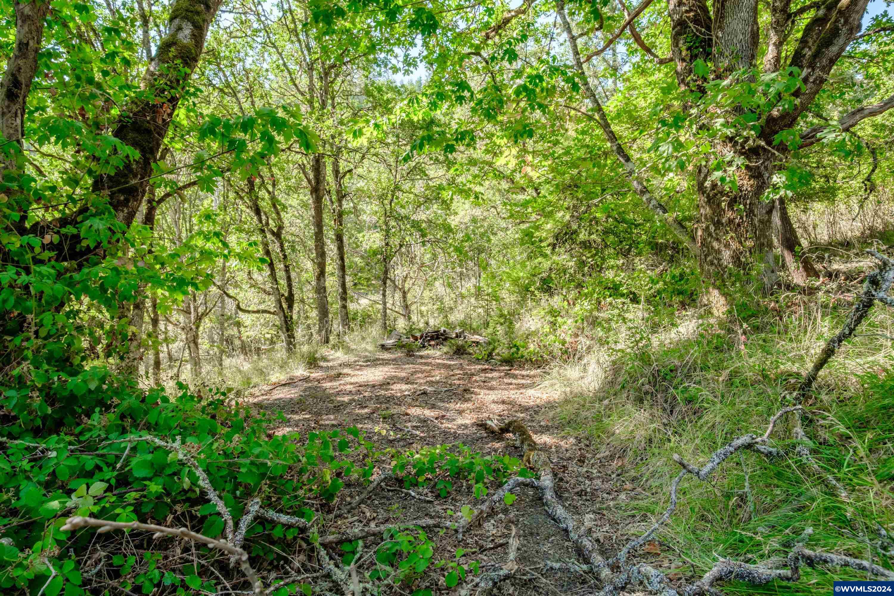 28920 Sheep Head Road Brownsville, OR 97327 - Photo 29 of 32