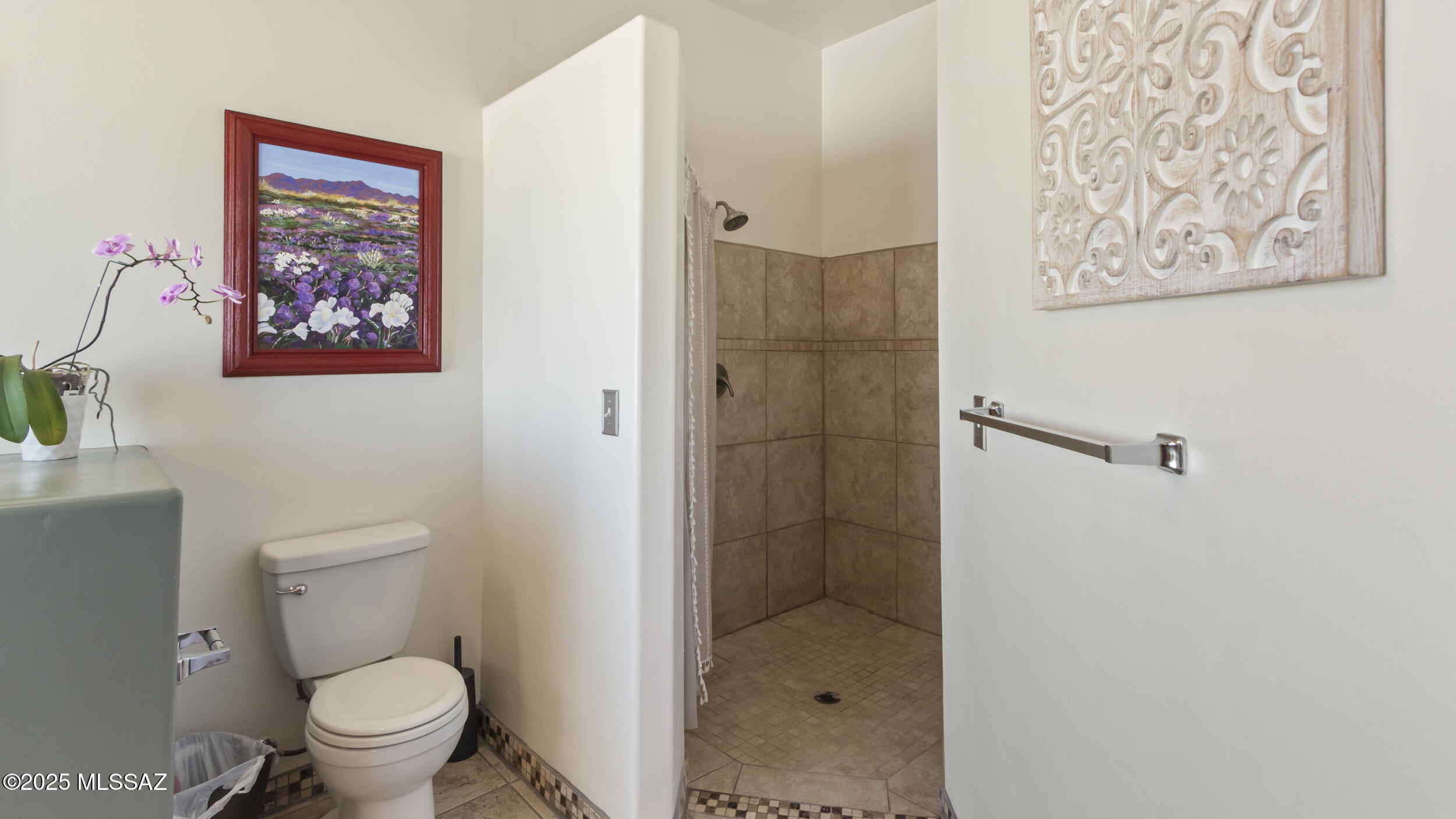 641 Calle Lukas Rio Rico, AZ 85648 - Photo 29 of 51